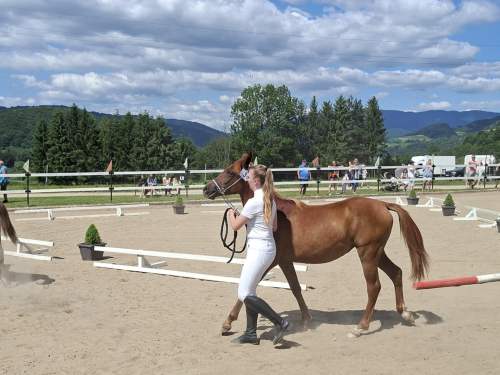 b1842ab7-8b99-49eb-8027-747049aa9b0c